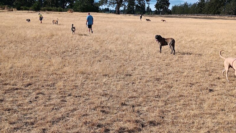Fort Steilacoom Dog Park Parking - Lakewood, WA