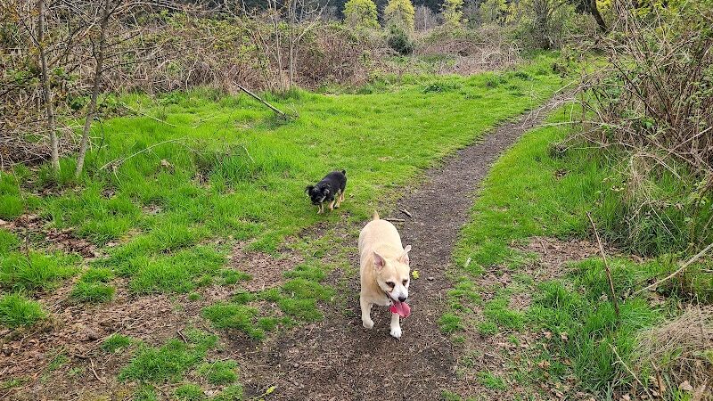 Fort Steilacoom Dog Park Parking - Lakewood, WA