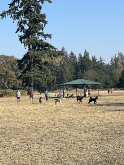 Fort Steilacoom Dog Park Parking - Lakewood, WA