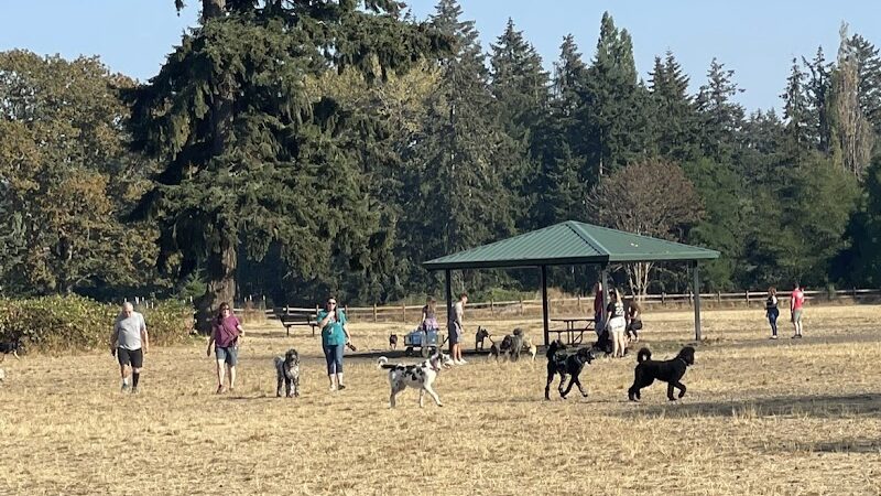 Fort Steilacoom Dog Park Parking - Lakewood, WA