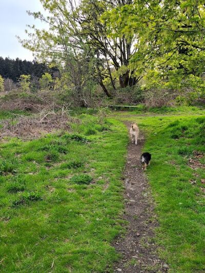 Fort Steilacoom Dog Park Parking - Lakewood, WA