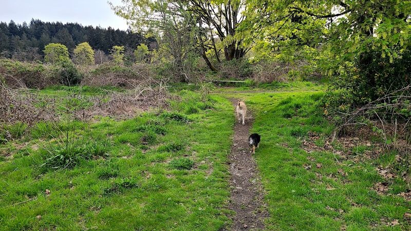 Fort Steilacoom Dog Park Parking - Lakewood, WA
