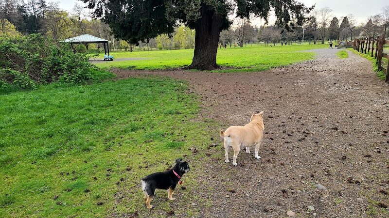 Fort Steilacoom Dog Park Parking - Lakewood, WA