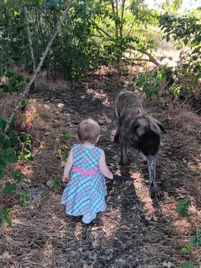 Fort Steilacoom Dog Park Parking - Lakewood, WA