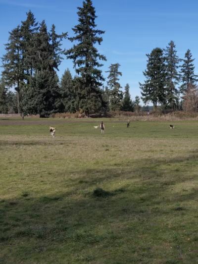 Fort Steilacoom Dog Park - Lakewood, WA
