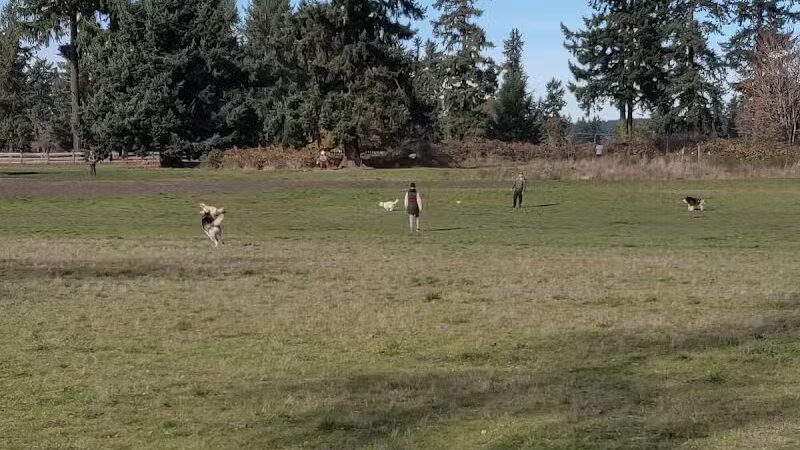 Fort Steilacoom Dog Park - Lakewood, WA