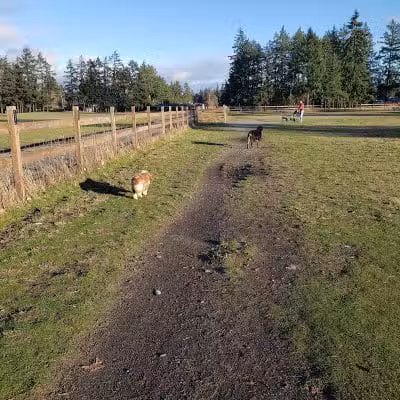 Fort Steilacoom Large Dog Park - Lakewood, WA