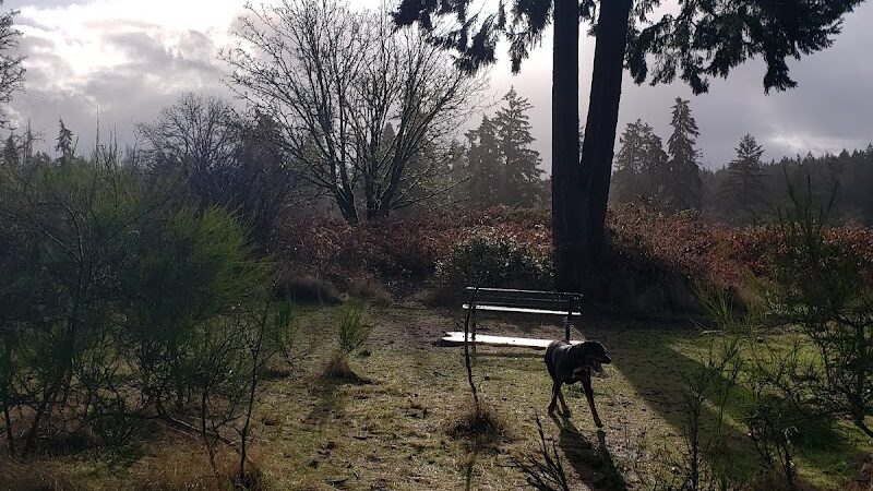 Fort Steilacoom Large Dog Park - Lakewood, WA