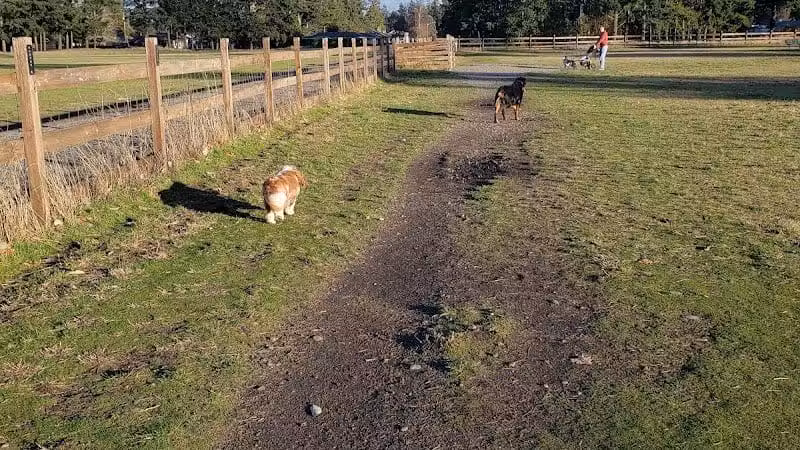 Fort Steilacoom Large Dog Park - Lakewood, WA