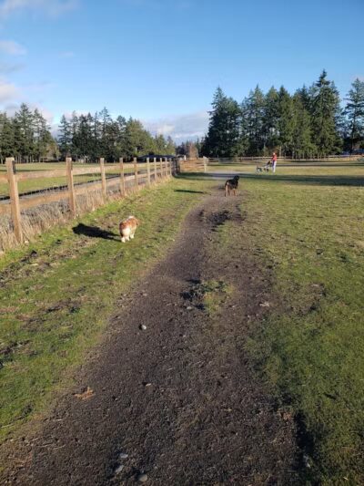 Fort Steilacoom Large Dog Park - Lakewood, WA