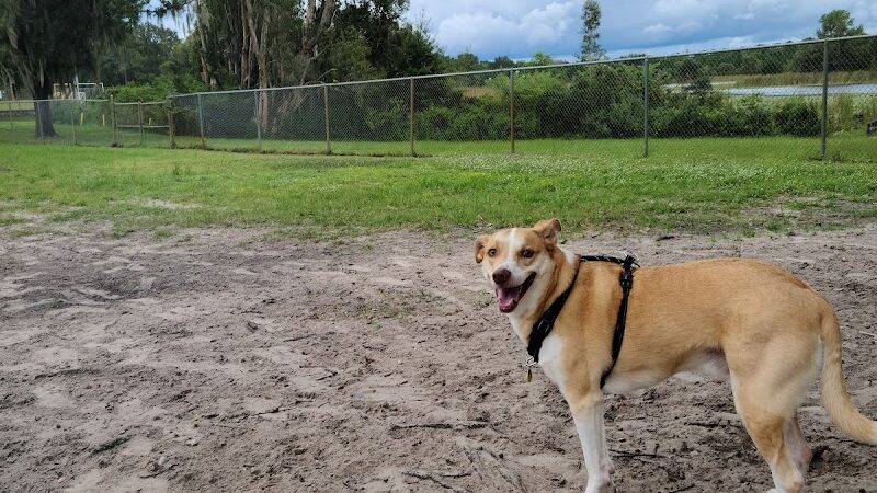 Land O' Lakes Recreation Complex :Dog Park - Land O' Lakes, FL