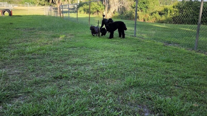 Land O' Lakes Recreation Complex :Dog Park - Land O' Lakes, FL