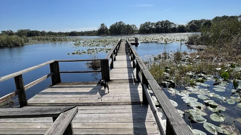 Land O' Lakes Recreation Complex :Dog Park - Land O' Lakes, FL