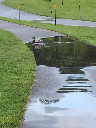 Landing Park Recreation Complex - Landing, NJ
