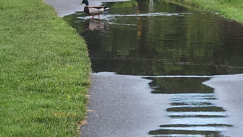 Landing Park Recreation Complex - Landing, NJ