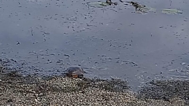 Port Morris Park - Landing, NJ