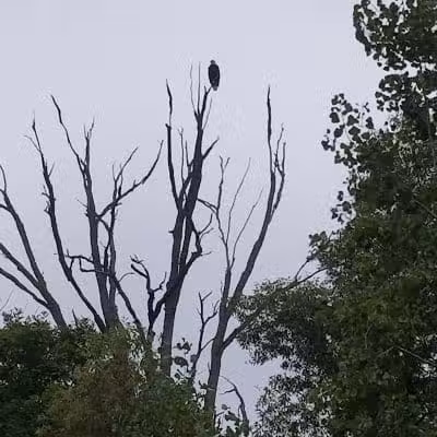 Trailhead Park - Larsen, WI