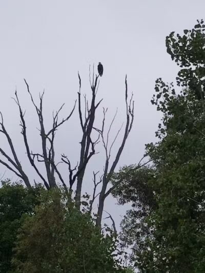 Trailhead Park - Larsen, WI