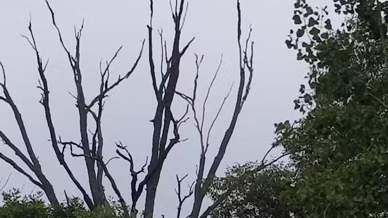 Trailhead Park - Larsen, WI