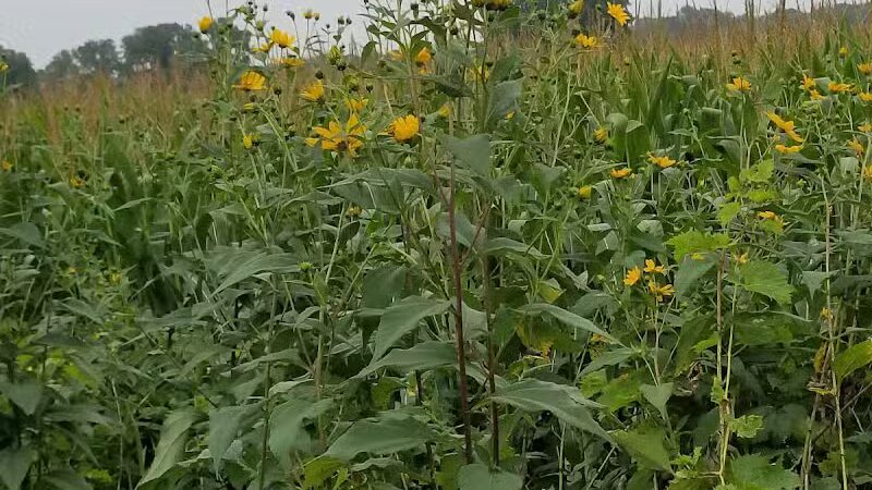 Trailhead Park - Larsen, WI
