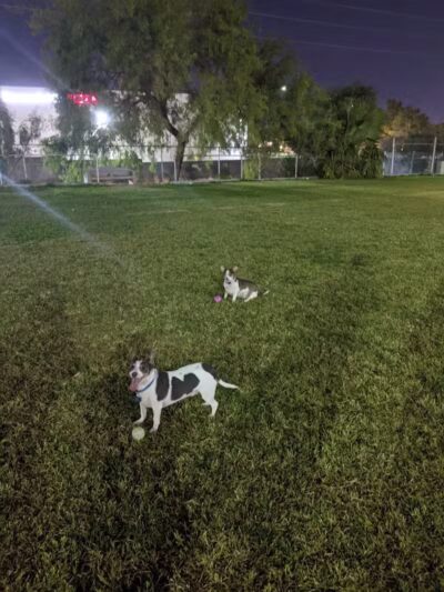 All American Park - Las Vegas, NV