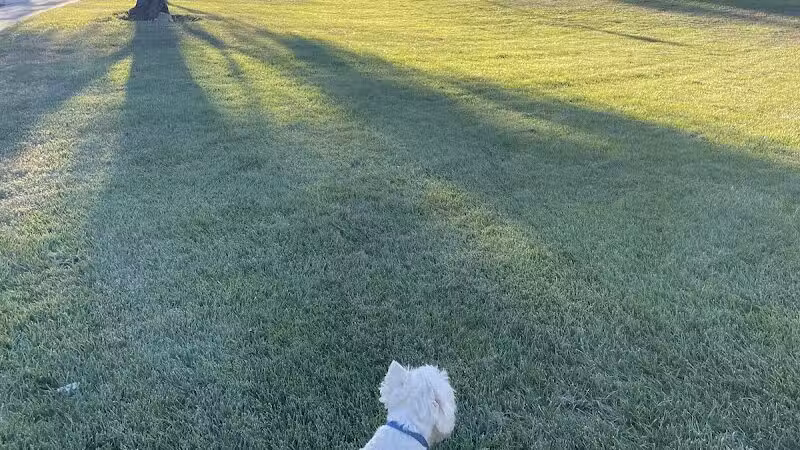 Arbors Tennis & Play Park - Las Vegas, NV