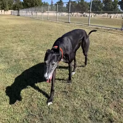 Barkin Basin Park - Las Vegas, NV