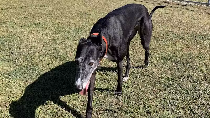 Barkin Basin Park - Las Vegas, NV