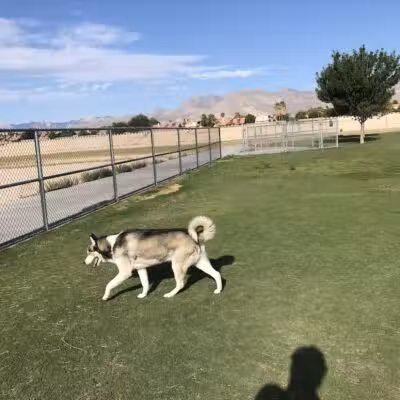 Barkin Basin Park - Las Vegas, NV