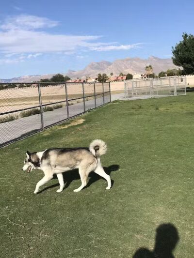 Barkin Basin Park - Las Vegas, NV