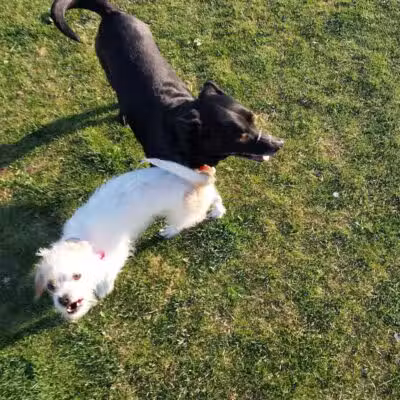 Barkin Basin Park - Las Vegas, NV