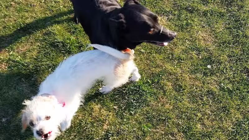 Barkin Basin Park - Las Vegas, NV