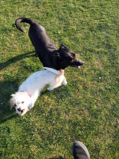 Barkin Basin Park - Las Vegas, NV