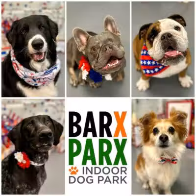 Barx Parx - Las Vegas, NV