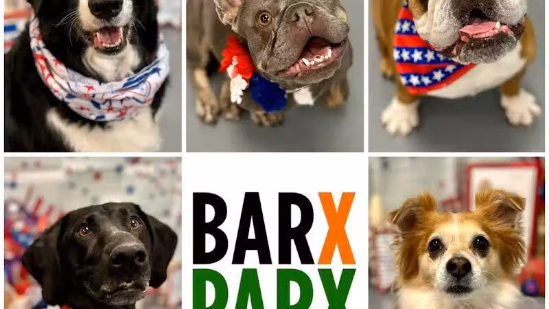 Barx Parx - Las Vegas, NV