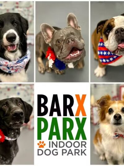 Barx Parx - Las Vegas, NV