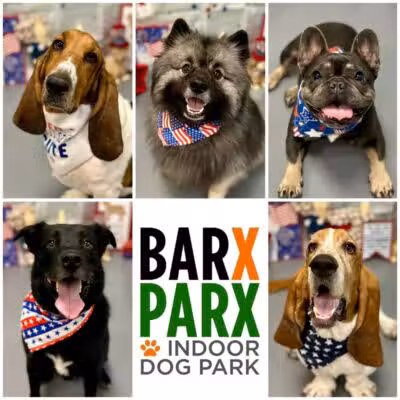 Barx Parx - Las Vegas, NV