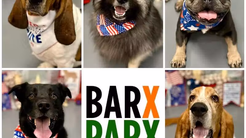 Barx Parx - Las Vegas, NV