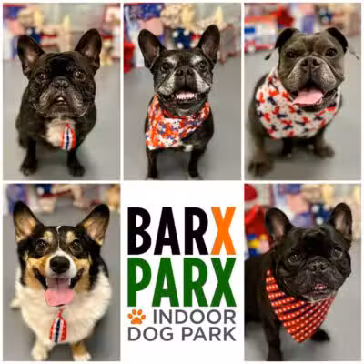 Barx Parx - Las Vegas, NV