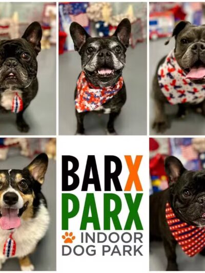 Barx Parx - Las Vegas, NV