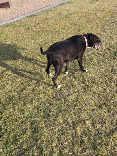 Battle Born Park - Las Vegas, NV