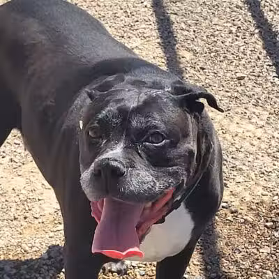 Battle Born Park - Las Vegas, NV