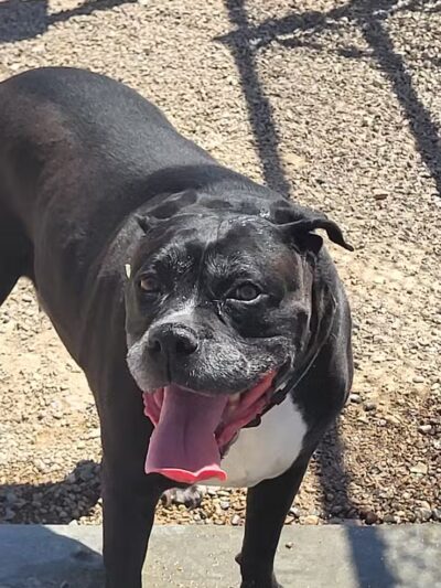 Battle Born Park - Las Vegas, NV