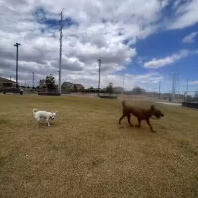 Battle Born Park - Las Vegas, NV