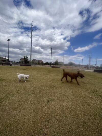 Battle Born Park - Las Vegas, NV