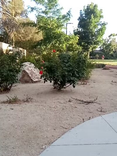 Bob Baskin Park - Las Vegas, NV