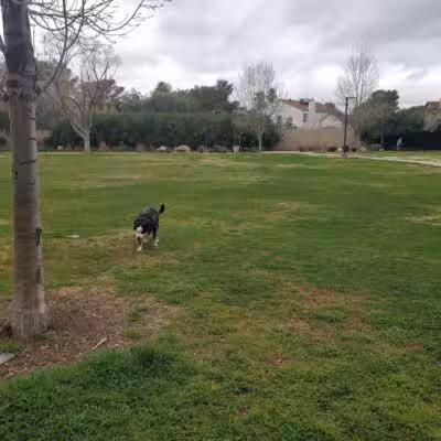 Bob Baskin Park - Las Vegas, NV