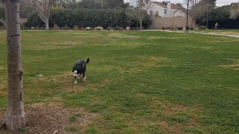Bob Baskin Park - Las Vegas, NV