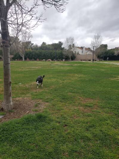 Bob Baskin Park - Las Vegas, NV
