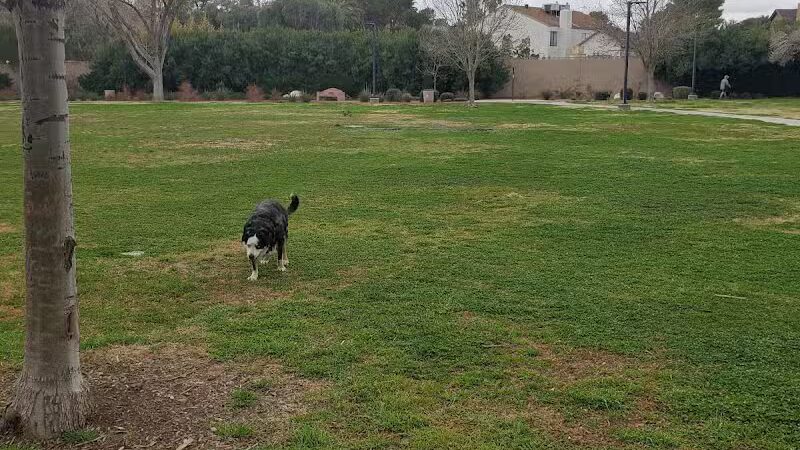 Bob Baskin Park - Las Vegas, NV